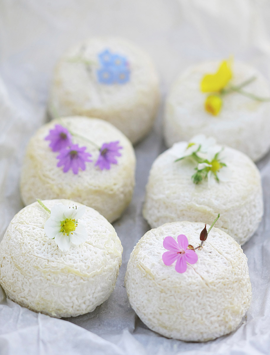Fromages de chèvres et fleurs des champs